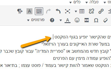 הכנסת קישור ל PDF 1